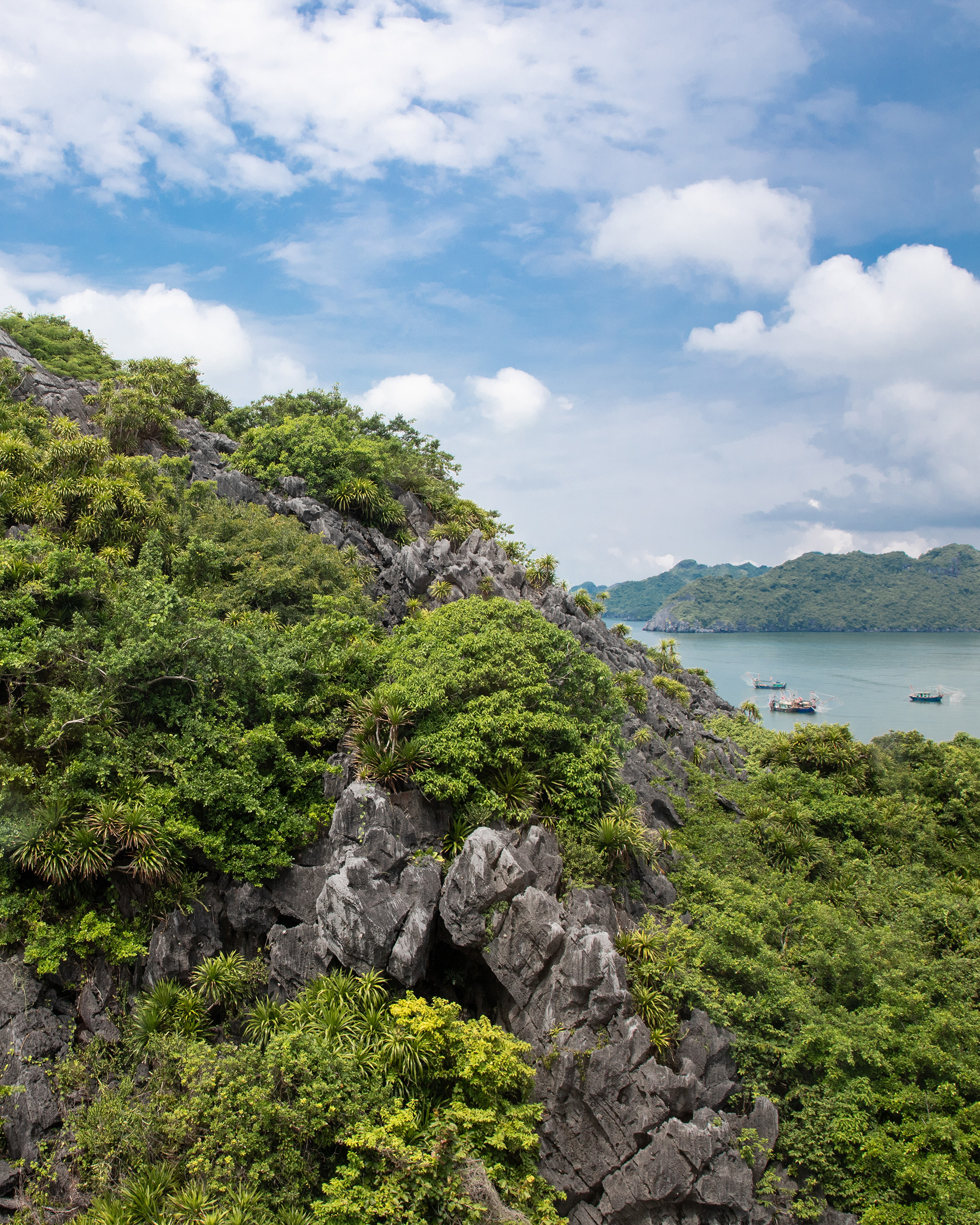 1_catba_vietnam_yeswetravel