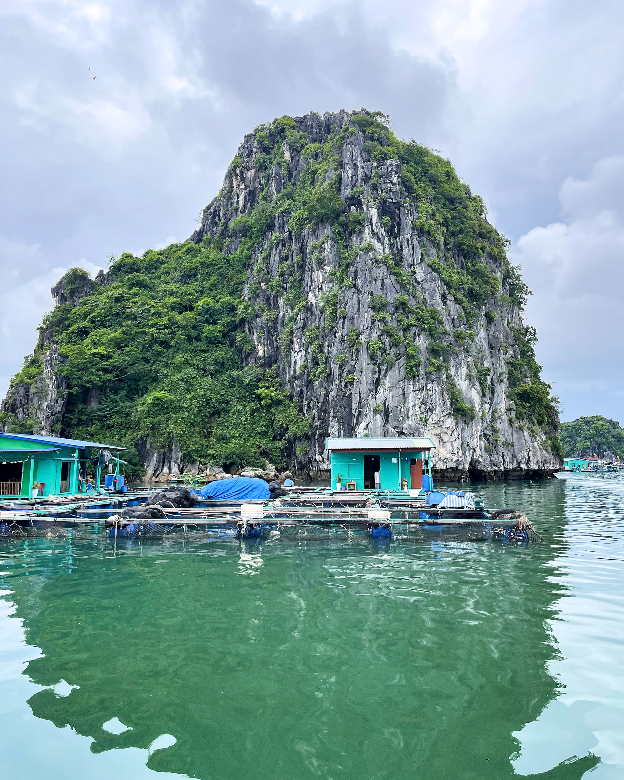 5_catba_vietnam_yeswetravel