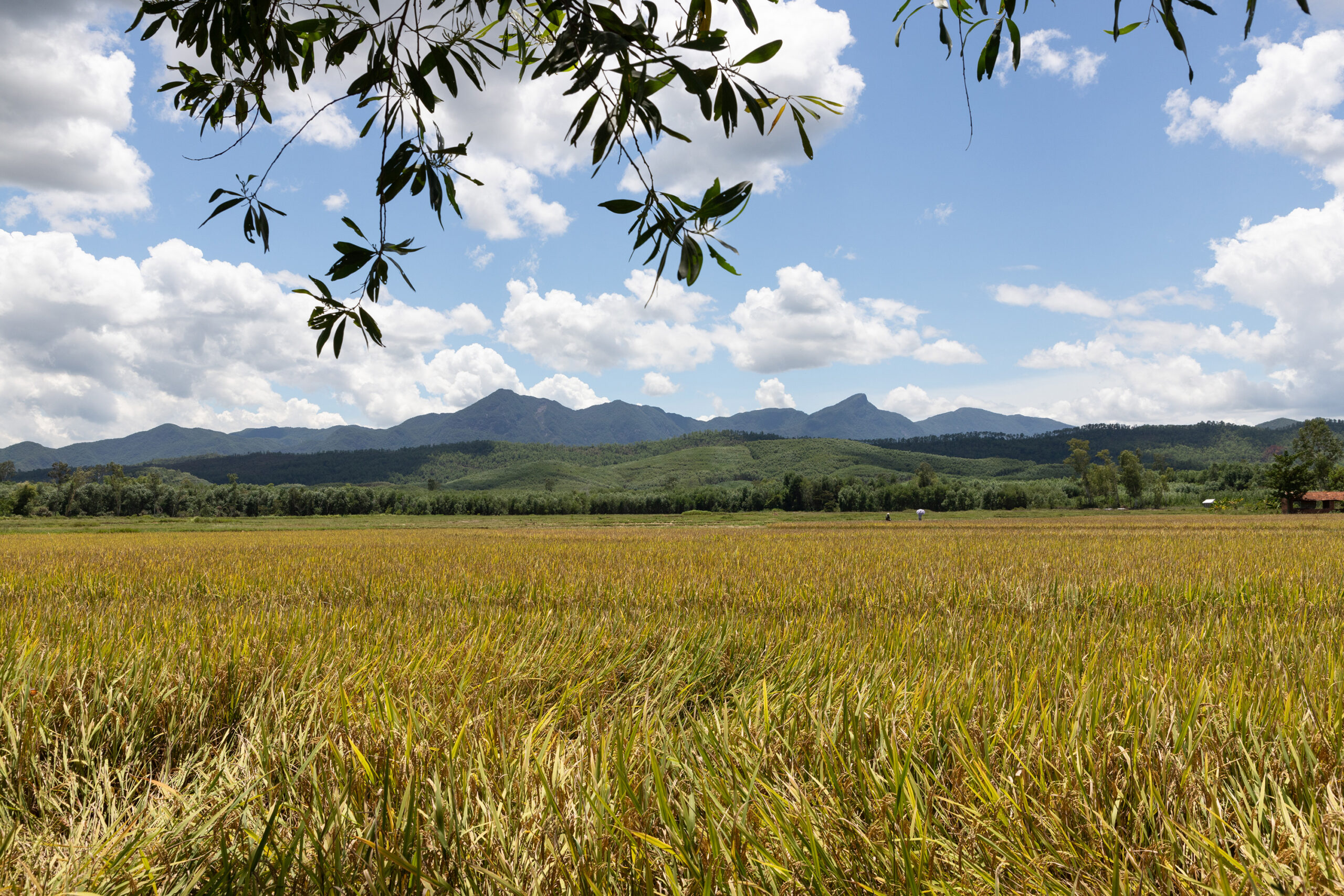 1_hoi_an_bici_vietnam_yeswetravel