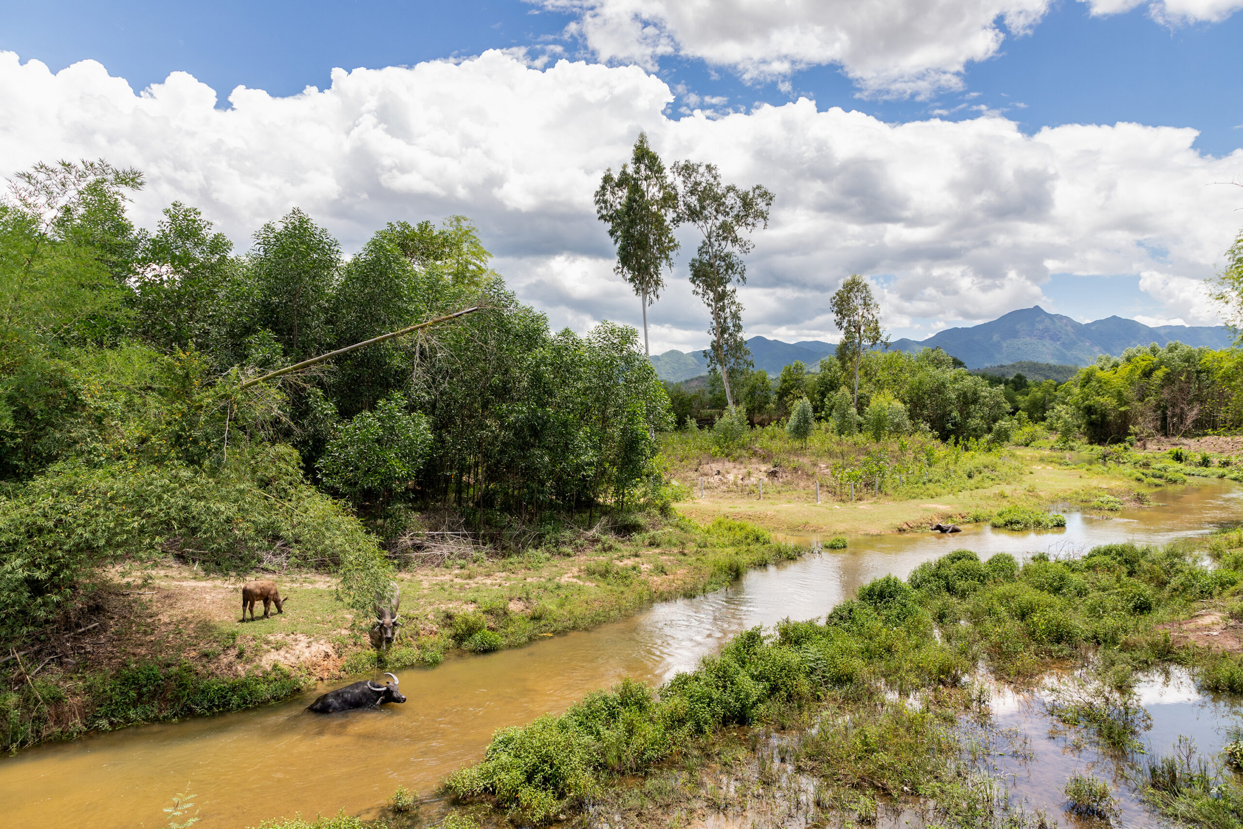 2_hoi_an_bici_vietnam_yeswetravel