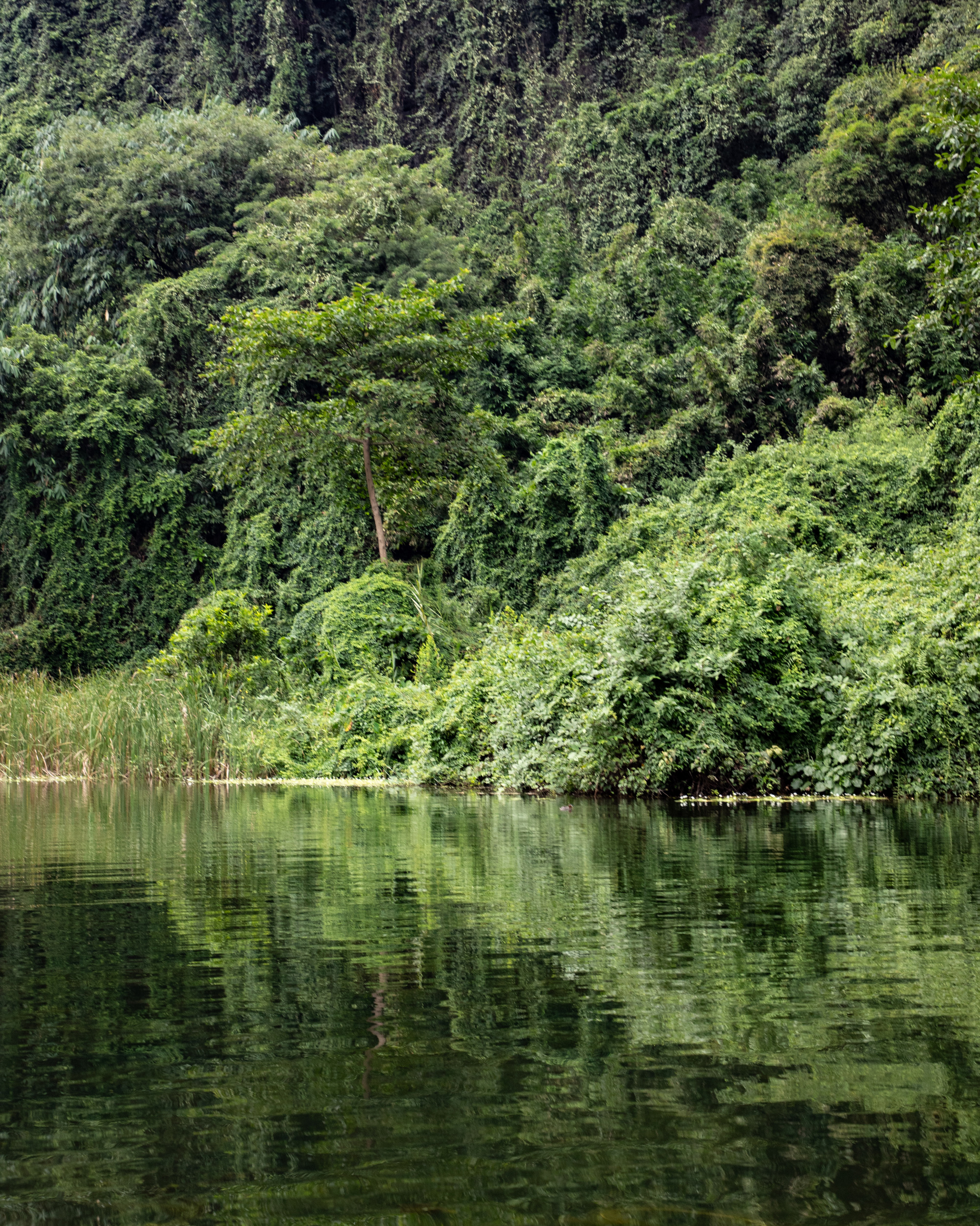 Trang An, Ninh Binh