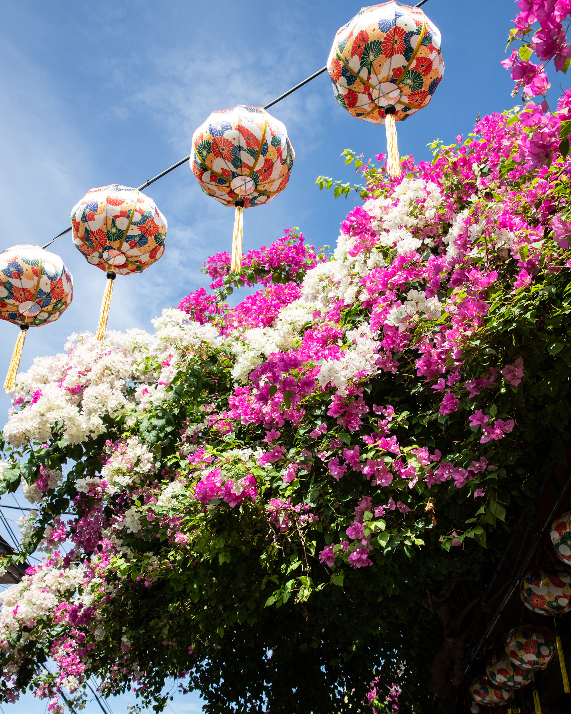 La città delle lanterne: Hoi An
