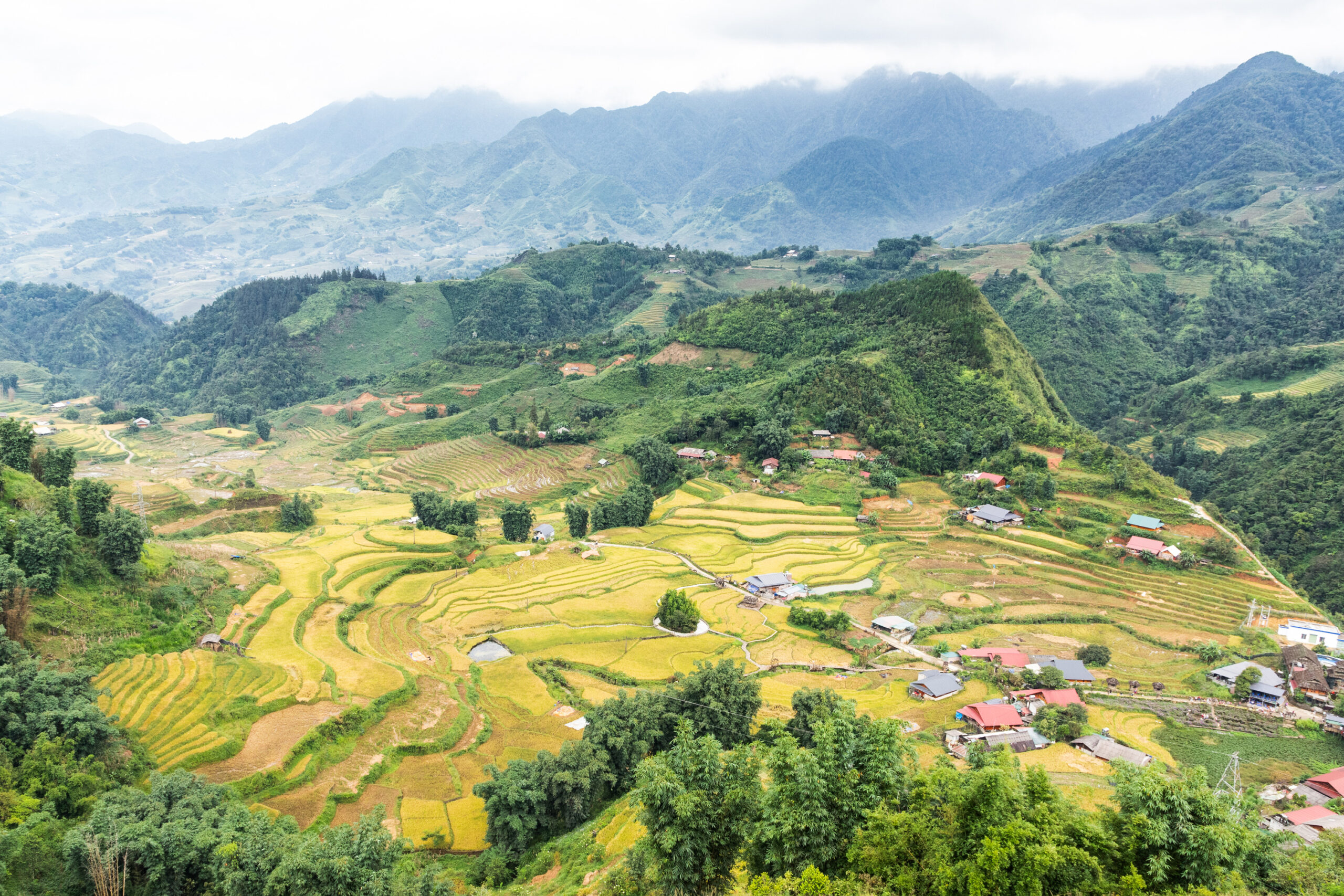 Vista delle risaie dal villaggio di Cat Cat, Sa Pa, Vietnam