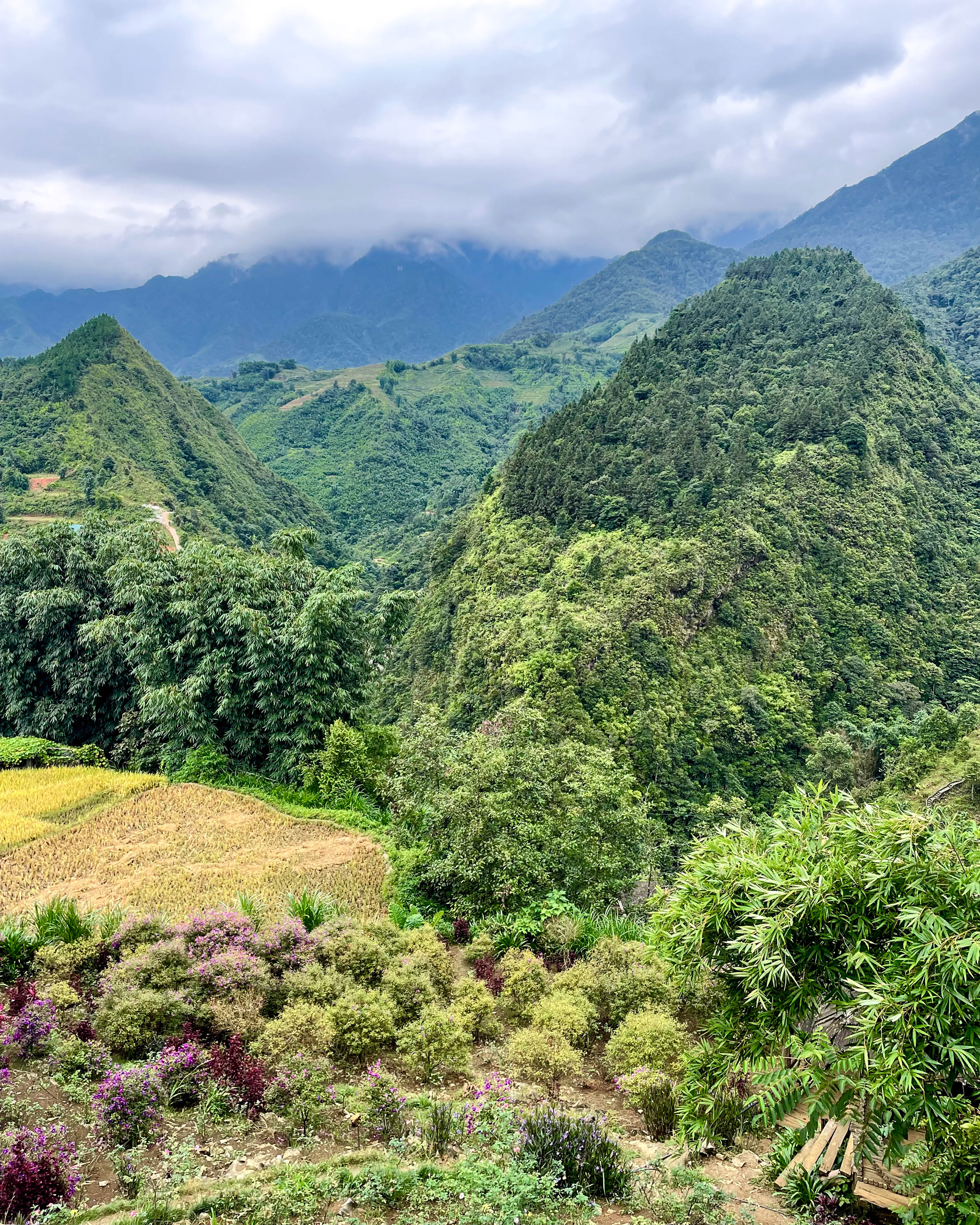 9_sapa_vietnam_yeswetravel
