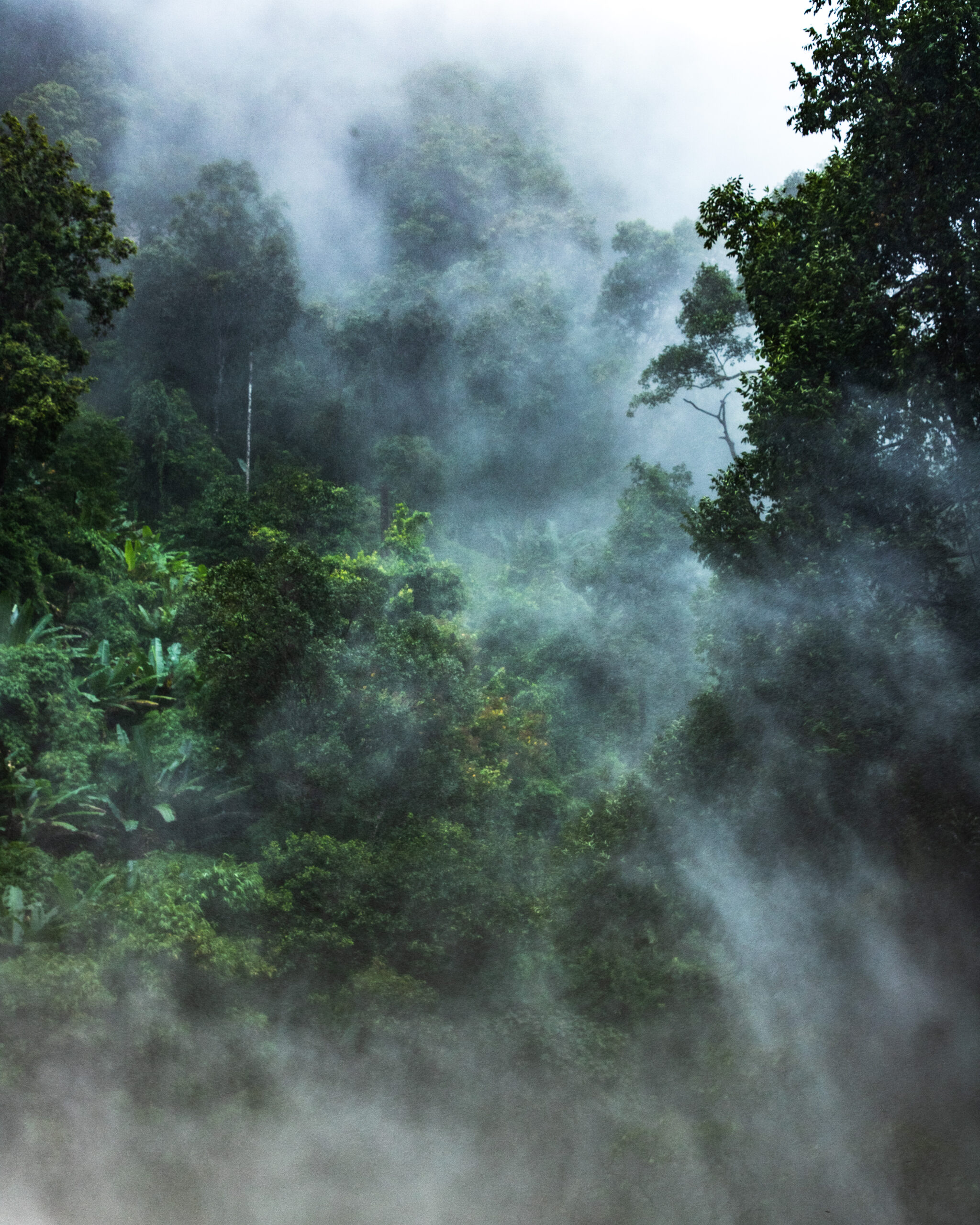 Doi Inthanon, Thailand