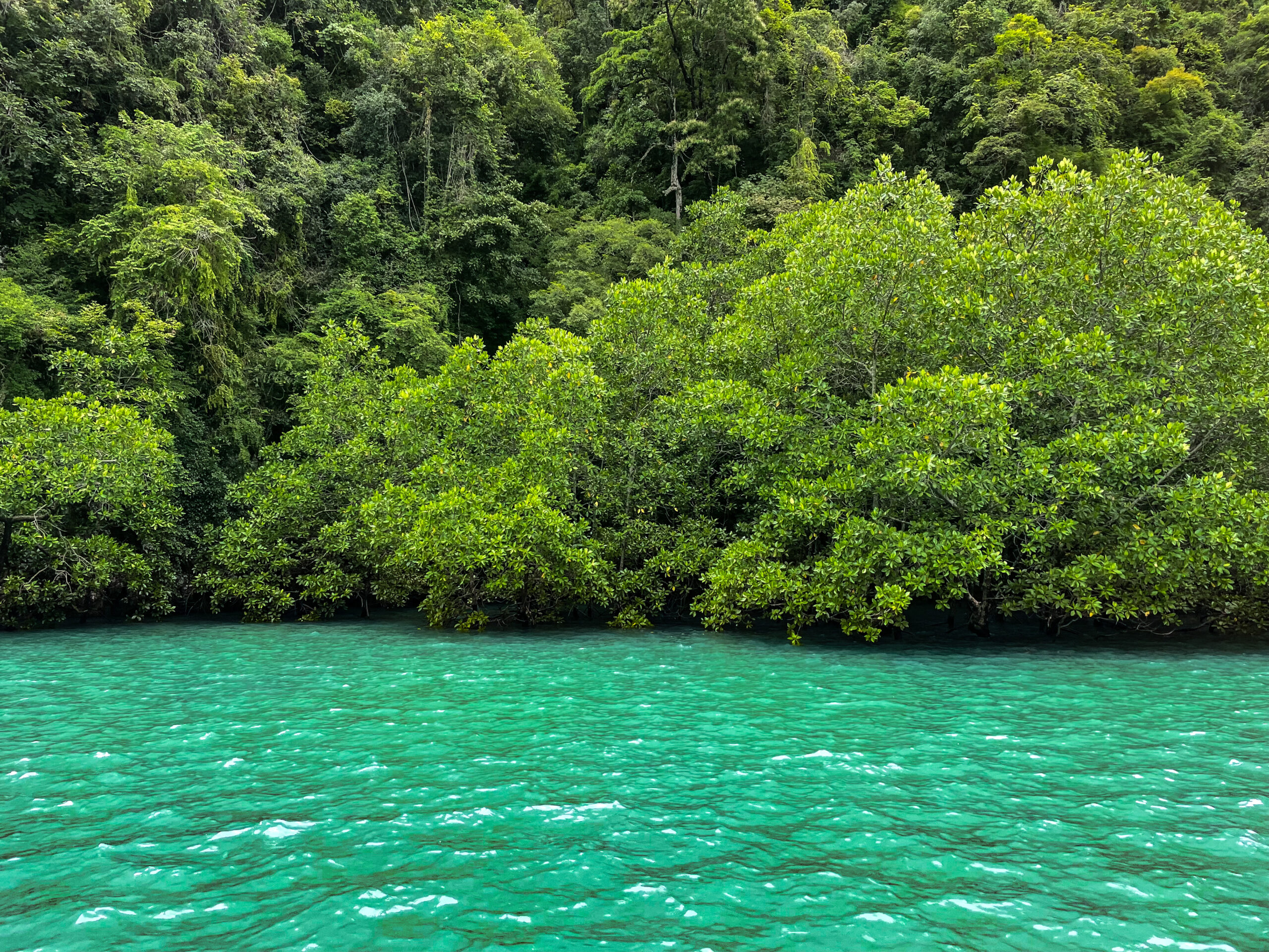 Krabi