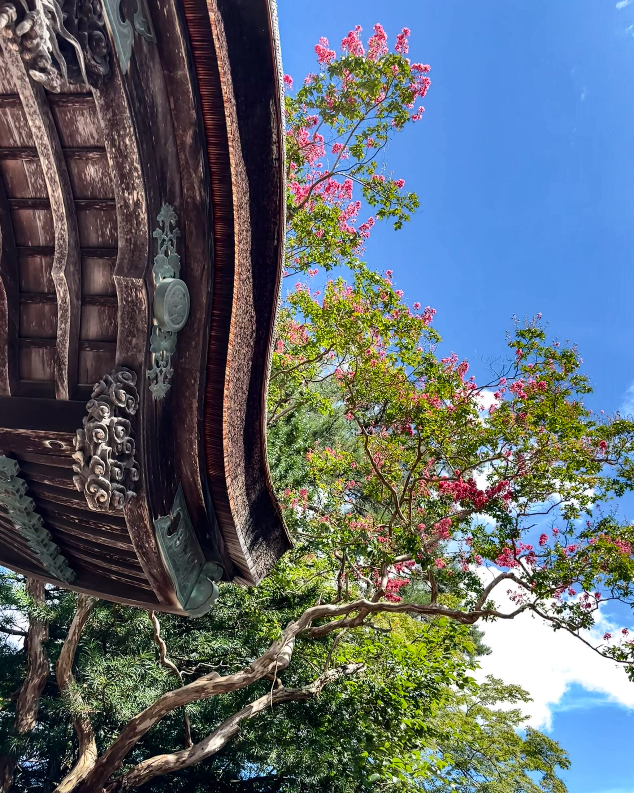 Koyasan