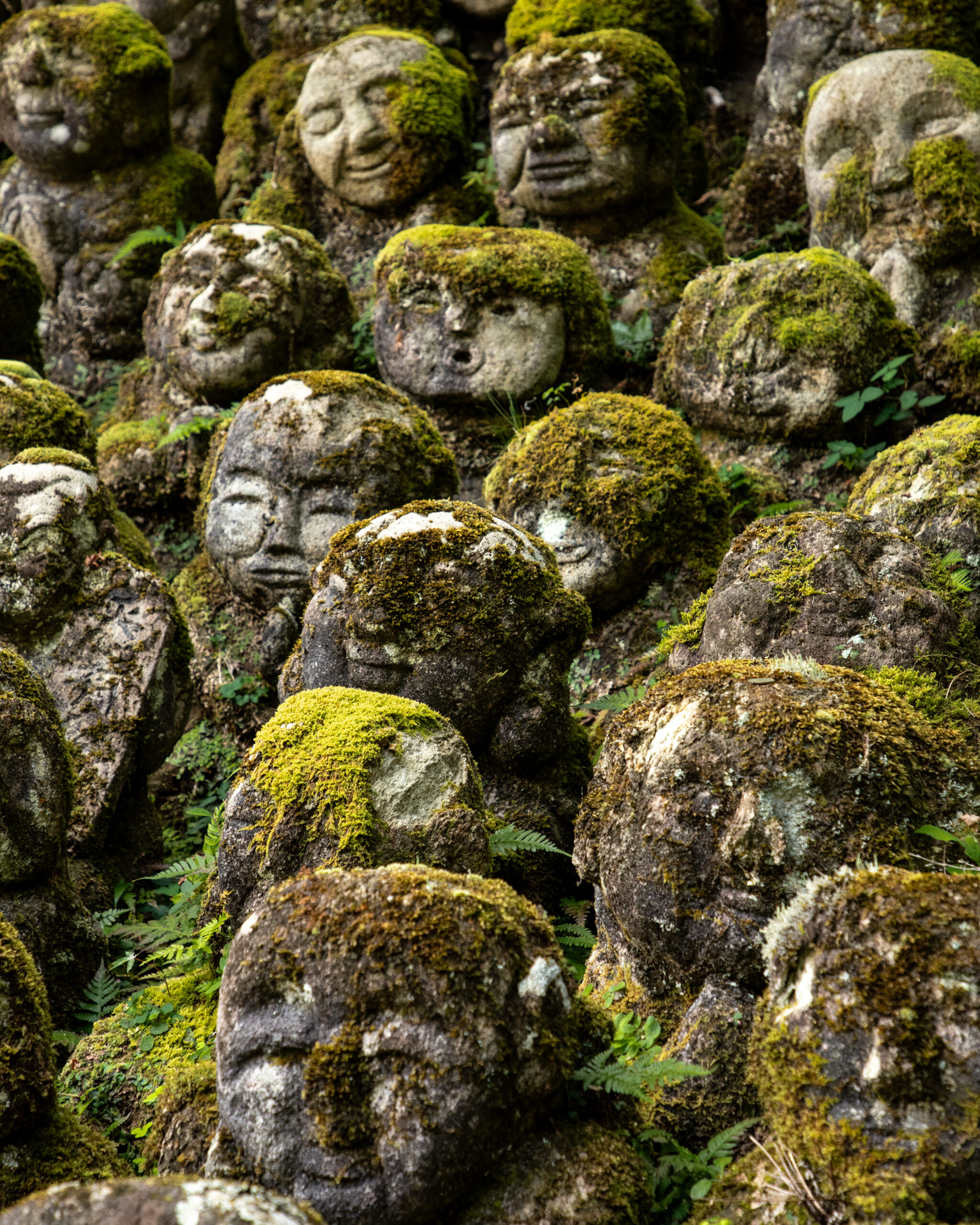 10_yeswetravel_giappone_kyoto