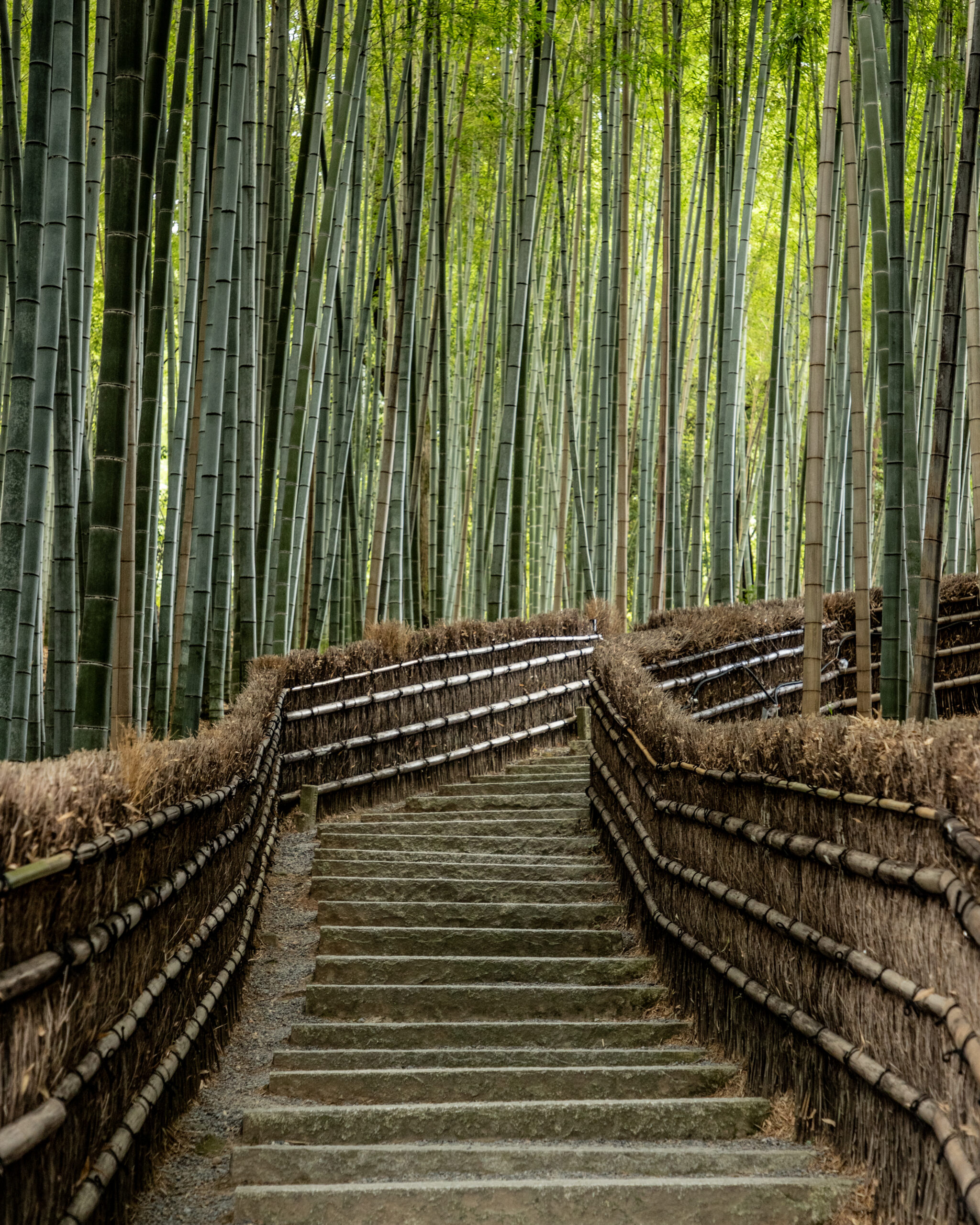 11_yeswetravel_giappone_kyoto