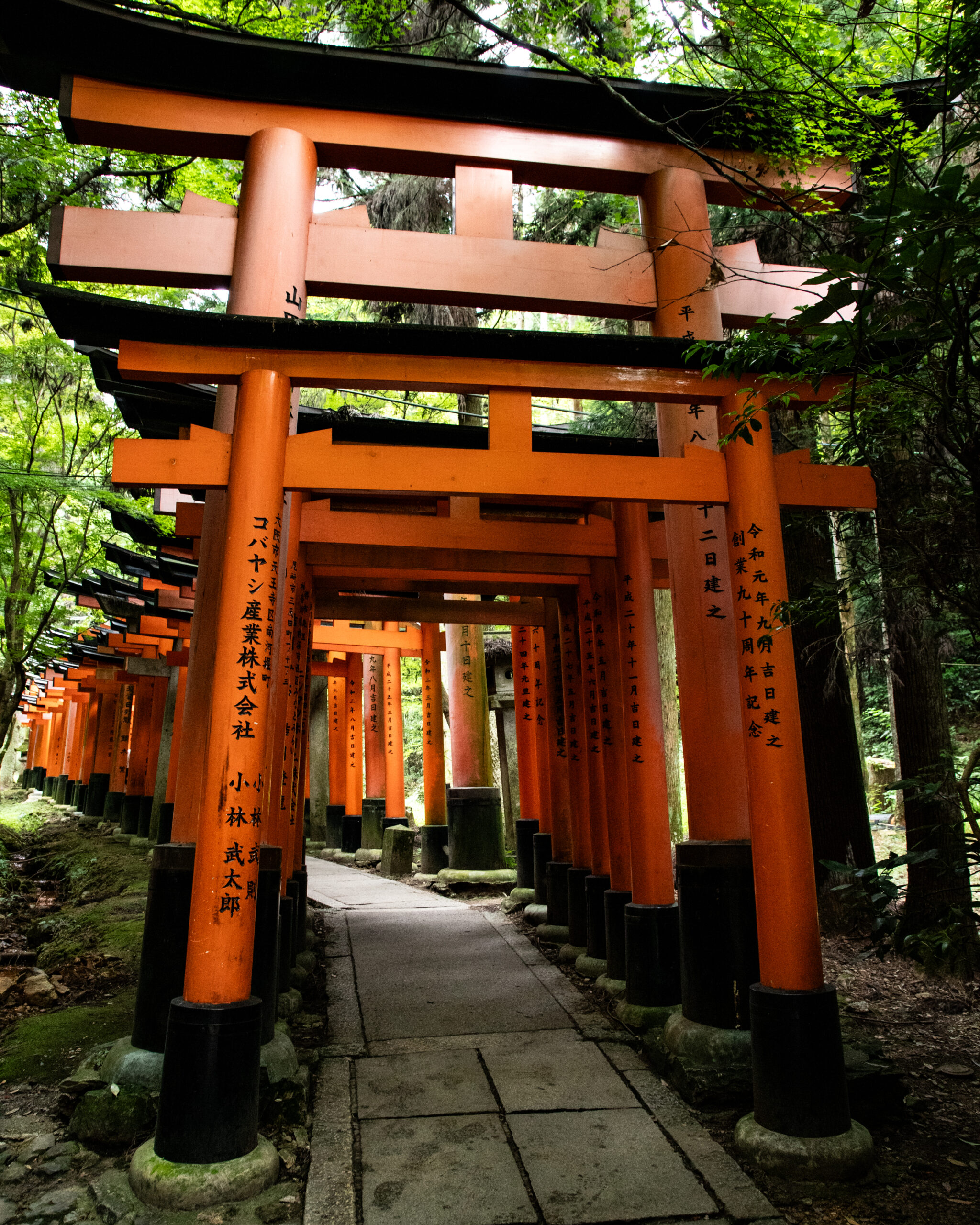 13_yeswetravel_giappone_kyoto