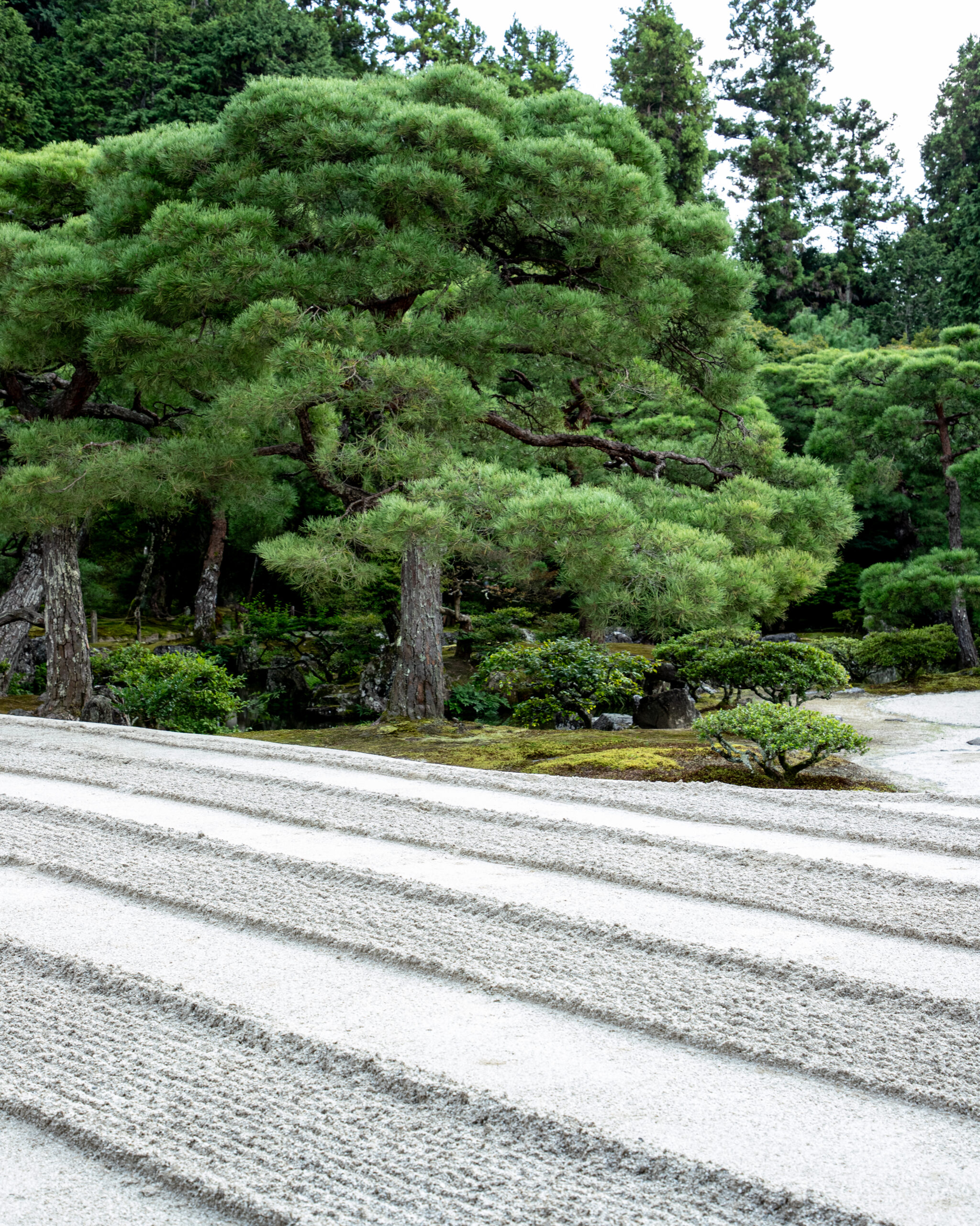 2_yeswetravel_giappone_kyoto