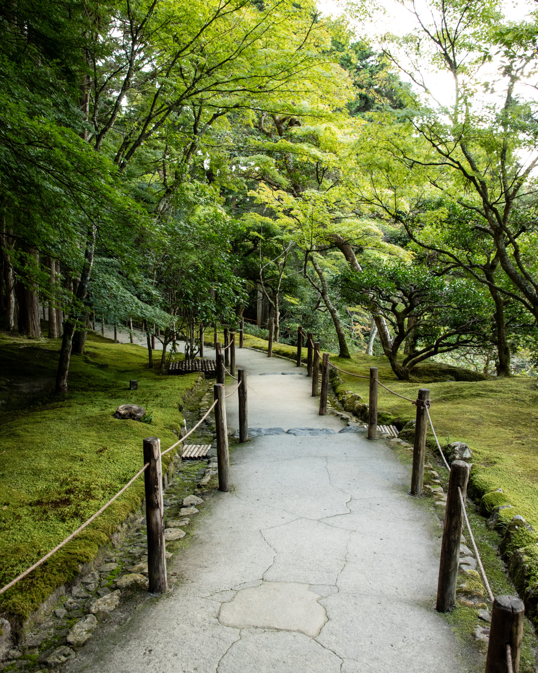 3_yeswetravel_giappone_kyoto