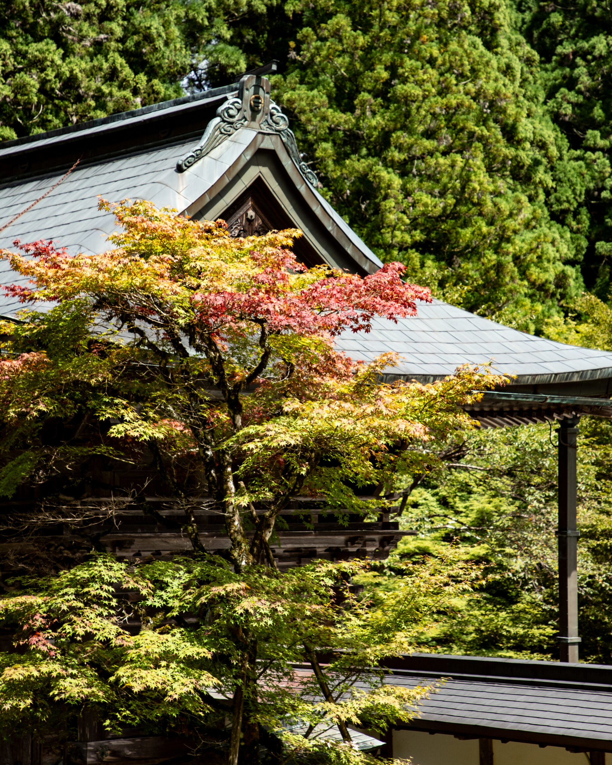 Koyasan