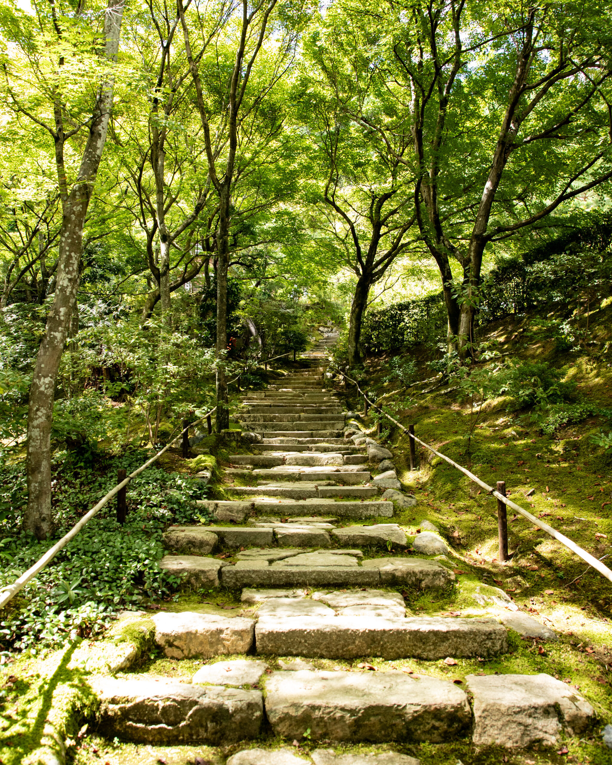 7_yeswetravel_giappone_kyoto