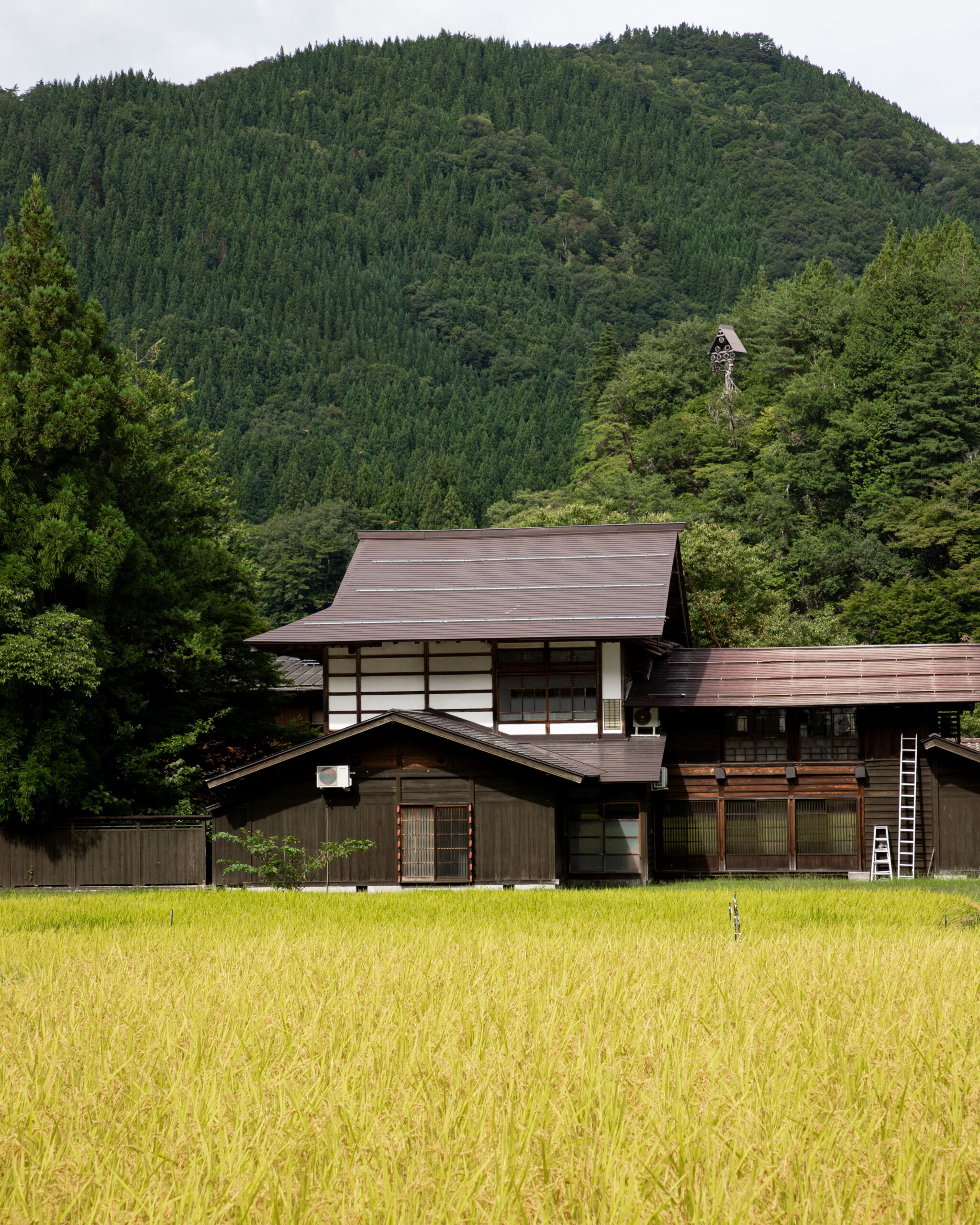 Shirakawa-go