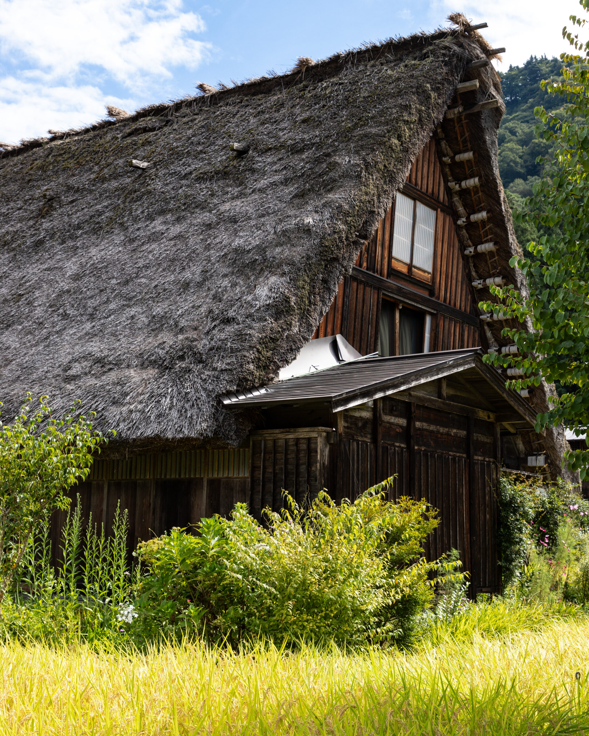 Shirakawa-go