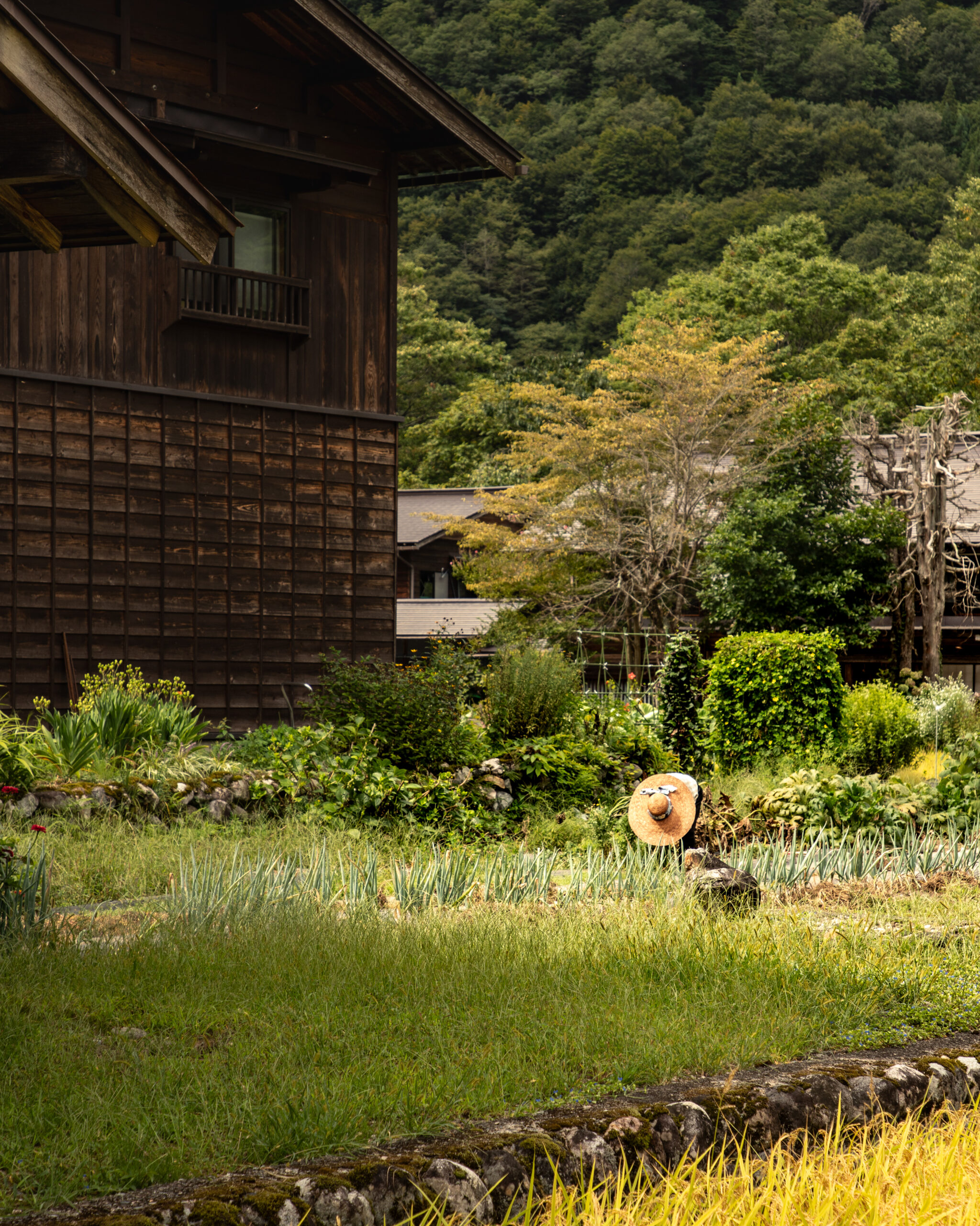 Shirakawa-go