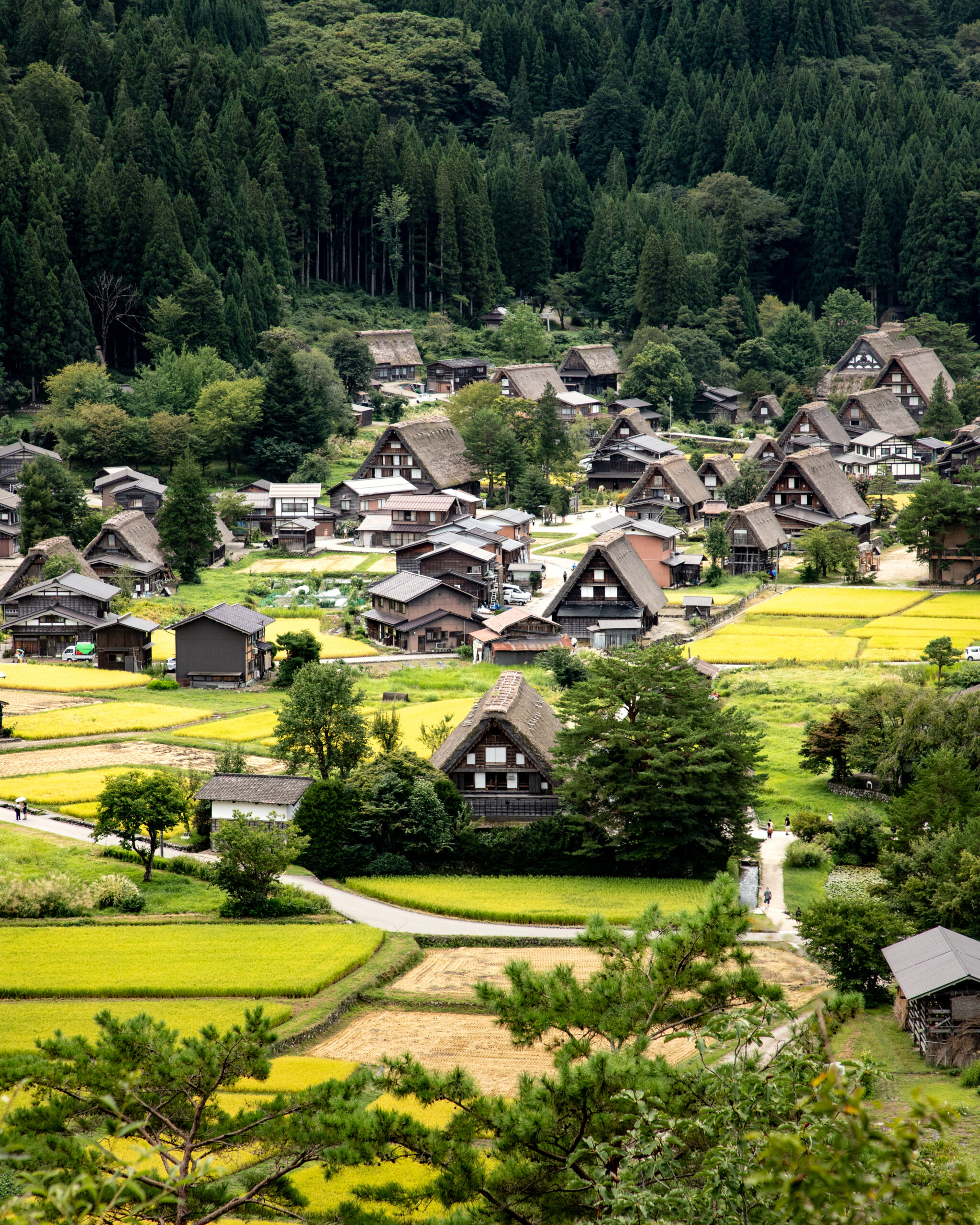 Shirakawa-go