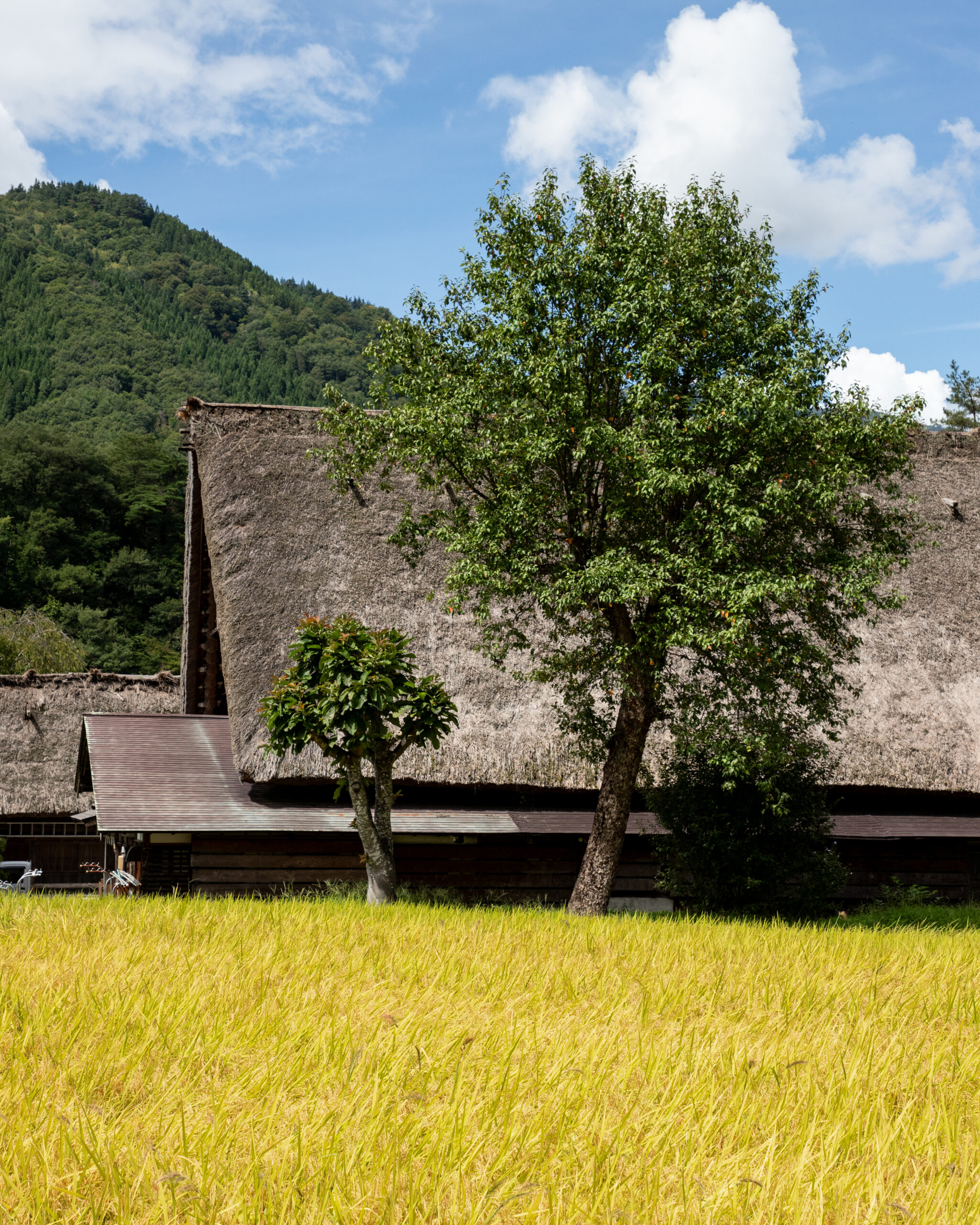 Shirakawa-go