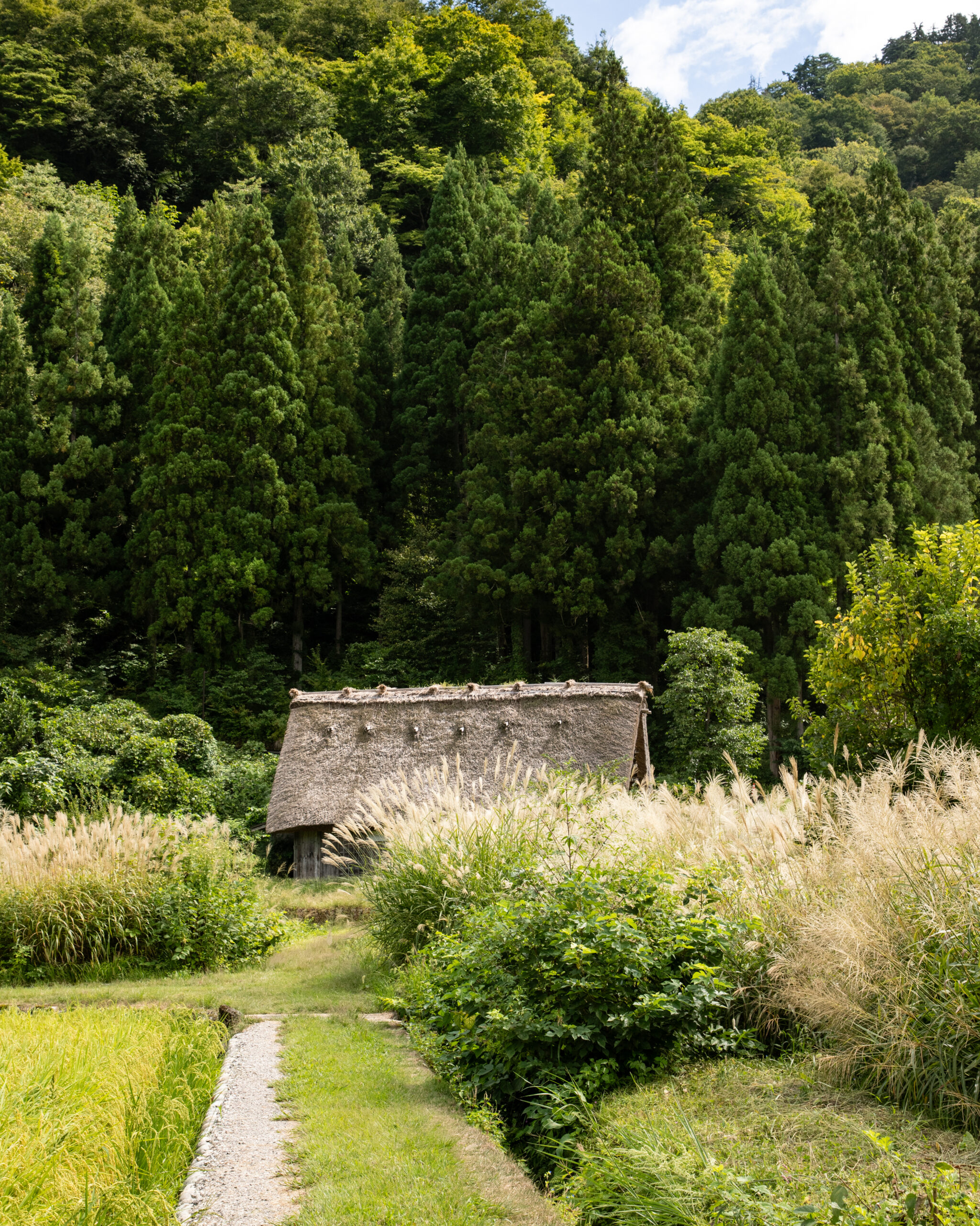 Shirakawa-go