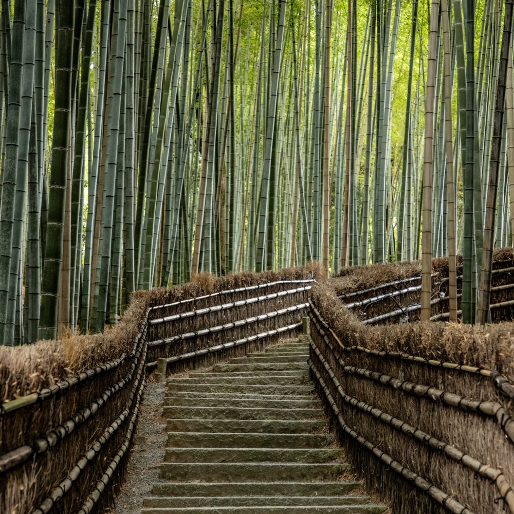 Kyoto