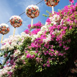 La città delle lanterne: Hoi An