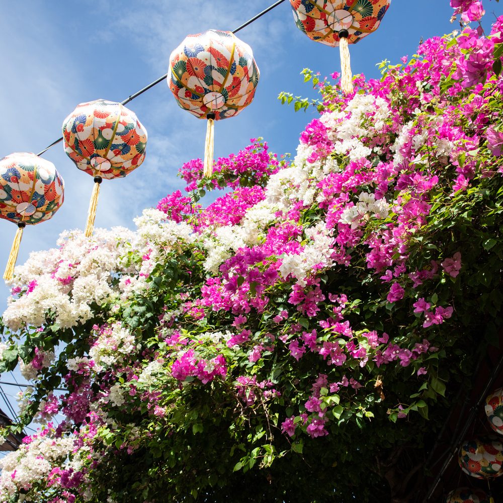 La città delle lanterne: Hoi An