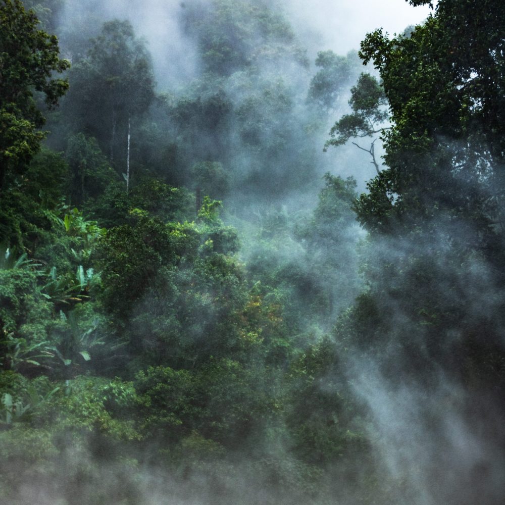 Doi Inthanon, Thailand